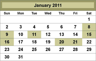 January 2011 Class Schedule