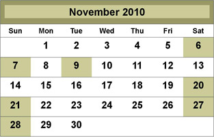 November 2010 Class Schedule